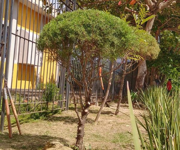 255372865_127515616366207_3868064697951408363_n