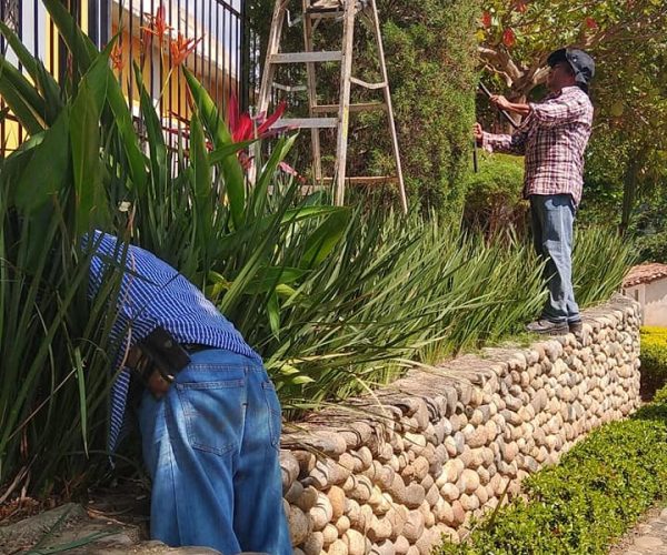 256246757_127515823032853_1325468652783648477_n