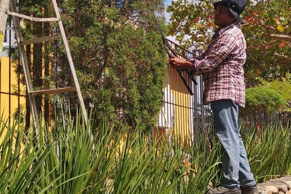 257435192_127515576366211_3229527243902111862_n