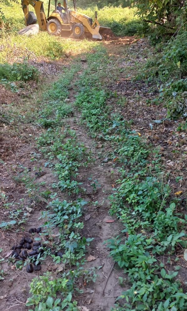 260394956_128677566248042_8095988309871725484_n