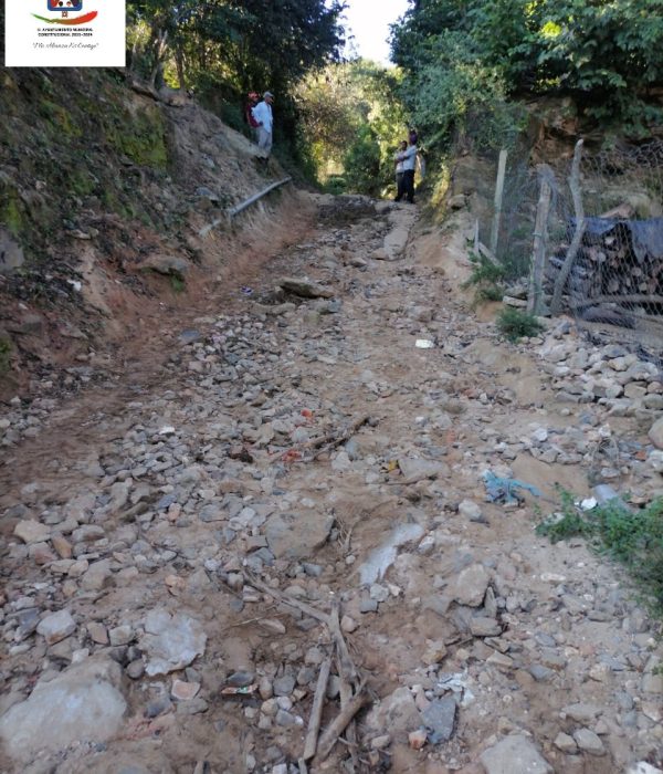 265052256_132467142535751_7427345785475381735_n