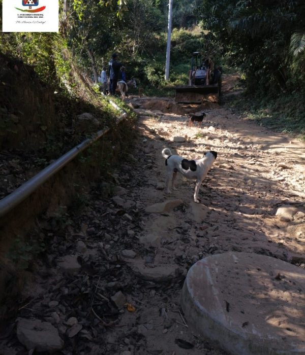 265147898_132467185869080_6436351002100421380_n