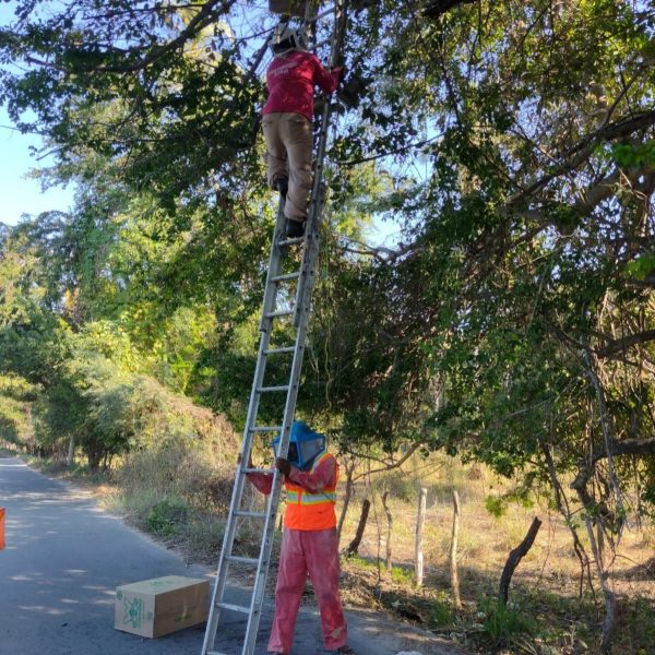 269878864_137486902000243_6296080176490567367_n