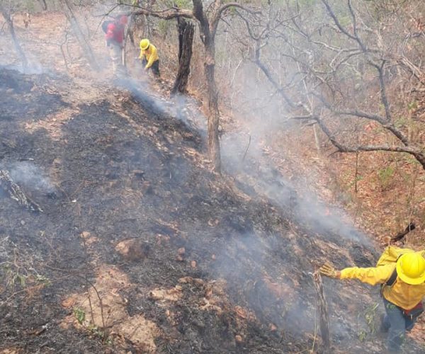 283959800_154520710420788_1509509546300452167_n