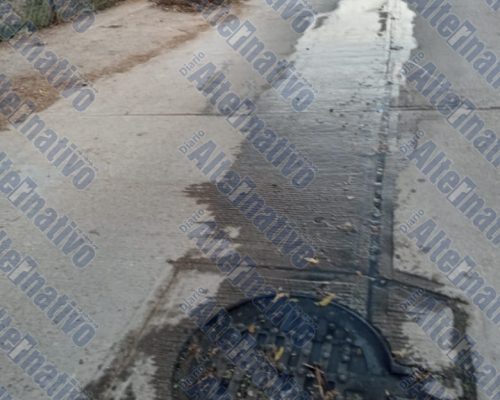 4b3e4c6b-cf82-48d8-82bf-63d70ce4f4dc