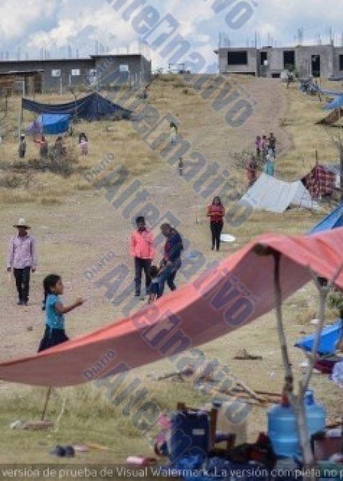TLAPA, GUERRERO, 04ENERO2019.- Alrededor de 152 familias del municipio de Cochoapa el Grande que se dedicaban a la siembra de amapola se desplazaron de sus comunidades debido a que las ventas de la planta, que es su principal sustento, bajaron. El grupo se asentó en un terreno baldío de la ciudad de Tlapa, para exigir que gobierno estatal y federal brinde atención rápida a las familias indígenas. Las familias de La Montaña de Guerrero se mantienen de la siembra de amapola y de los envíos de dinero por parte de familiares empleados en los campos agrícolas del norte del país. Ante la baja en la venta y cotización de la planta, se vieron obligadas a migrar para huir de la pobreza extrema. Algunas familias han denunciado que sus ingresos son de 2 mil pesos anuales en promedio. Los desplazados son originarios de Tierra Blanquita, San Lucas, San Cristobalito, Llano de la Piedra, San Miguel el Nuevo, San Rafael, Llano del Metate y Rancho San Marcos, comunidades que –de acuerdo con el Inegi– tienen los indicadores de pobreza más altos de México, 56% de su población es analfabeta; 74% no es derechohabiente de algún sistema de salud, y 80% no cuenta en escusado o drenaje.Más de 500 personas, entre adultos y niños, permanecen en el campamento en la colonia Las Mesas. Ahí, con palos, cobijas y lonas, construyeron pequeños refugios para resguardarse de la lluvia, el calor y el frío. Las familias aseguran que prefieren morir en la ciudad de Tlapa que regresar a sus pueblos con mucho más dolor y soledad, asegurando que en sus lugares de origen no existe futuro para nadie.
FOTO: YAOTL SILVA /CUARTOSCURO.COM