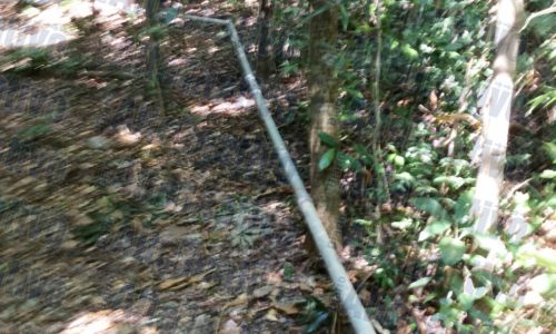 WhatsApp Image 2020-11-30 at 16.15.03