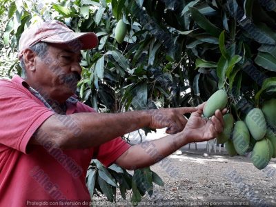 WhatsApp Image 2021-04-25 at 11.25.10 AM