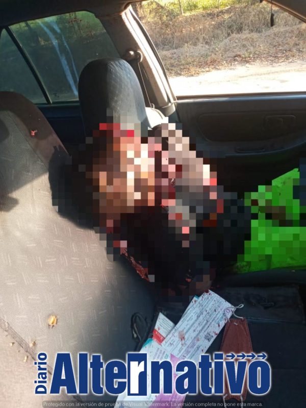 d0388371-2c71-4881-a51d-780607c2453d