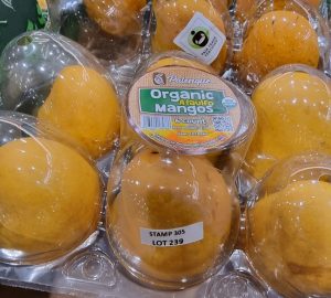 e00ef4e5-32c0-487c-a55c-7cfd31182633