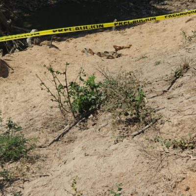 f453e00e-77ff-483e-ad1e-5d97b41e73ad